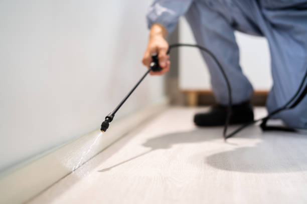 Licensed Pest Control service in Santa Fe, TX - Show Me Pest Control
