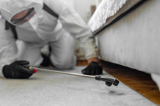 Professional Ant Control technician working in Santa Fe, TX