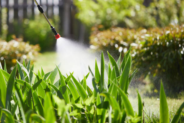 24/7 Emergency Wasp Removal experts in Santa Fe, TX